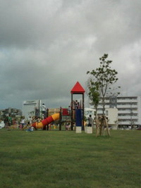 念願の初公園 2011/07/17 16:10:53