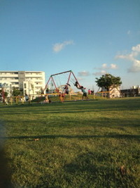 ほぼ毎日公園 2011/09/06 16:16:36