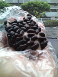 ふちゃぎ 2011/09/13 21:08:06