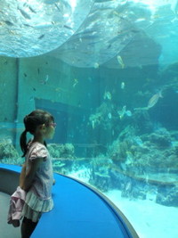 ちゅらうみ水族館 2011/09/19 11:09:11