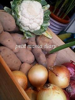 Piccolo Orto
