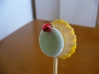☆北竜町ひまわり耳かき☆