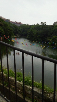 子どもの日 2012/05/05 16:12:25