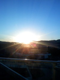 退院してきました 2010/11/24 15:36:05