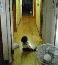 年賀状 2005/12/29 19:07:13
