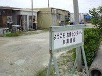 糸満お魚センター 2008/06/02 07:40:00