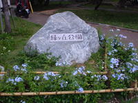緑ヶ丘公園 2008/07/11 07:40:26
