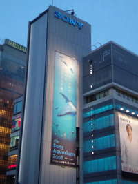 美ら海からの魚達 2008/08/01 07:42:54