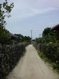 竹富島 2008/05/06 19:52:59