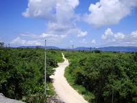 竹富島の道 2008/09/12 07:30:00