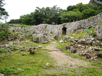 知念城 2008/01/31 12:00:00