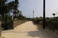 竹富島の道　その５ 2008/01/16 12:00:00