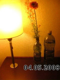 来て良かった 2008/04/06 00:06:42