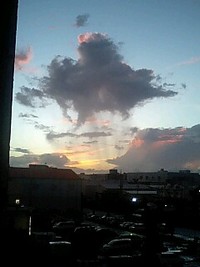 自然との・・・！ 2007/08/09 12:11:45