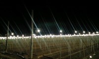 今週はうるま市！ 2008/12/12 10:23:16