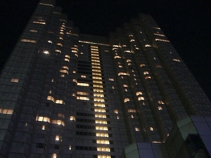 眠らない東京の夜景・・・