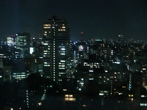 眠らない東京の夜景・・・