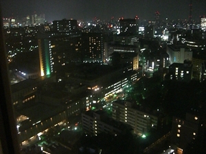 眠らない東京の夜景・・・