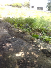 土地探し～～南部～～ 2008/07/27 19:05:47