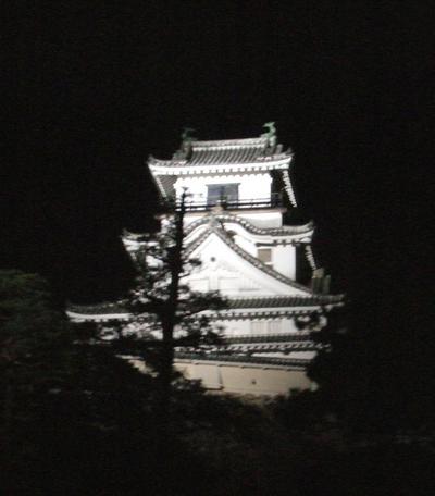 城を肴に酒を飲む
