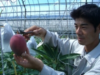 想いを込めて・・・ 2008/06/30 21:54:14