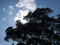 行って来ました～！『森の昼さがりバザー』。。。。 2010/11/10 18:31:35