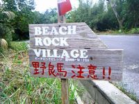 ツリーハウスでLunch。。。『BEACH ROCK VILLAGE』！！ 2011/12/05 12:25:25
