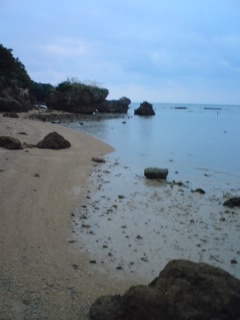 海とヤドカリと僕