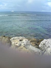 海 2008/09/23 23:11:14