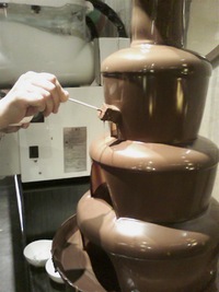 チョコ命 2010/12/05 13:26:22