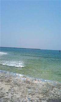 海 2009/05/31 15:58:21