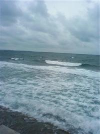 海
