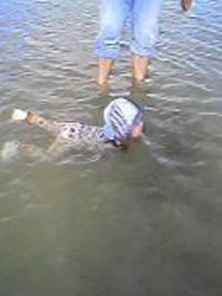泳ぐ・・・！？ 2006/08/31 14:25:09