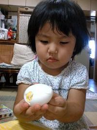 お手伝い 2007/08/05 18:58:45