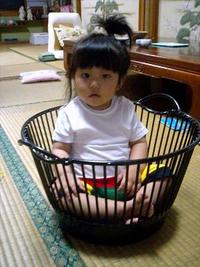 かご入り？ 2006/06/03 22:27:12