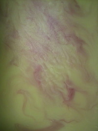 模様 2011/07/01 01:20:49