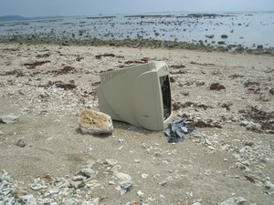 泡瀬干潟のモニター