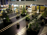 プチ旅行 2010/02/09 14:58:38