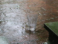 一度やってみたいと思っていた事 2010/05/29 17:24:59