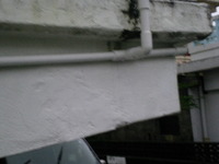こいつのせーで。 2010/06/12 12:01:42