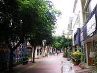 本日梅雨明け♪ 2010/06/19 13:25:27