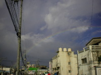 見れたよ♪ 2010/08/30 12:50:33