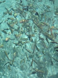 9月23日の記事 2010/09/23 19:08:41