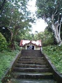 9月22日の記事 2010/09/22 21:20:03