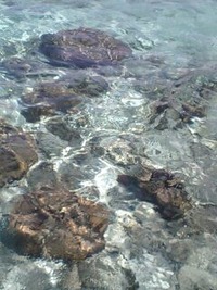 9月8日の記事 2010/09/08 10:58:54