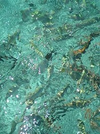 9月9日の記事 2010/09/09 16:34:25