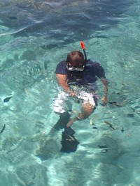 9月9日の記事 2010/09/09 16:28:19