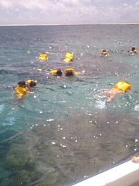 9月11日の記事 2010/09/11 07:35:26