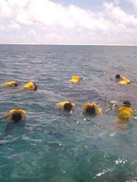 9月11日の記事 2010/09/11 07:36:09