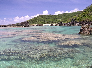 海歩き＃19
